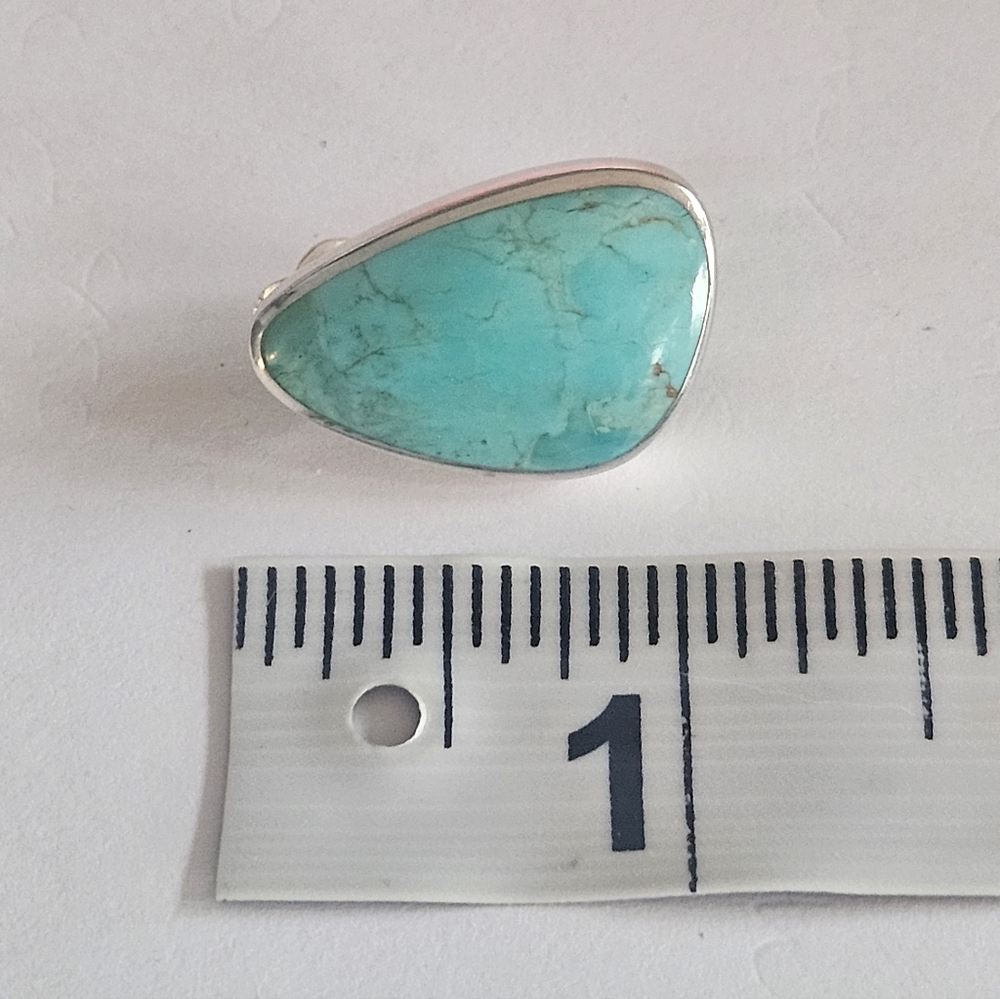 Southwestern Designer Peyote Bird Turquoise 925 Sterling Silver Earrings - Picture 6 of 6
